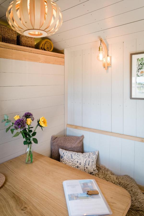 Boutique Cornish Shepherd'S Hut With Hot Tub 朗斯顿 外观 照片