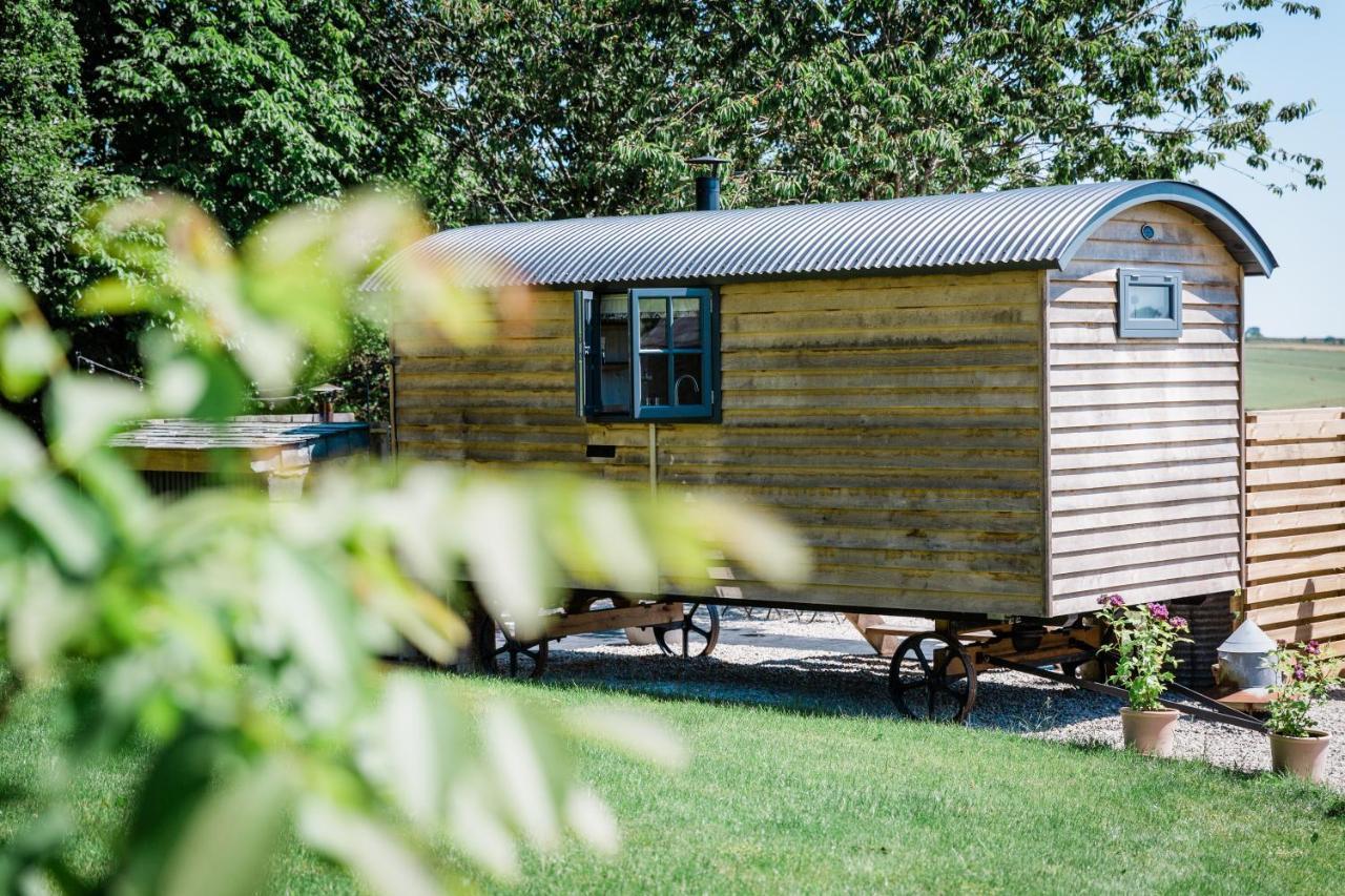 Boutique Cornish Shepherd'S Hut With Hot Tub 朗斯顿 外观 照片
